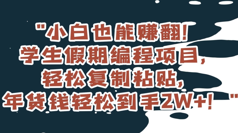 小白也能赚翻！学生假期编程项目，轻松复制粘贴，年货钱轻松到手2W+